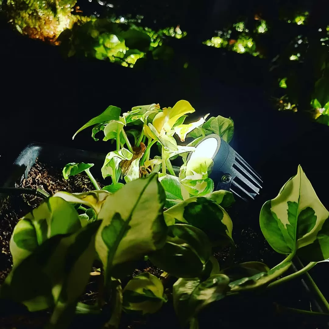 Photo of Bengaluru By Shariq Ali
