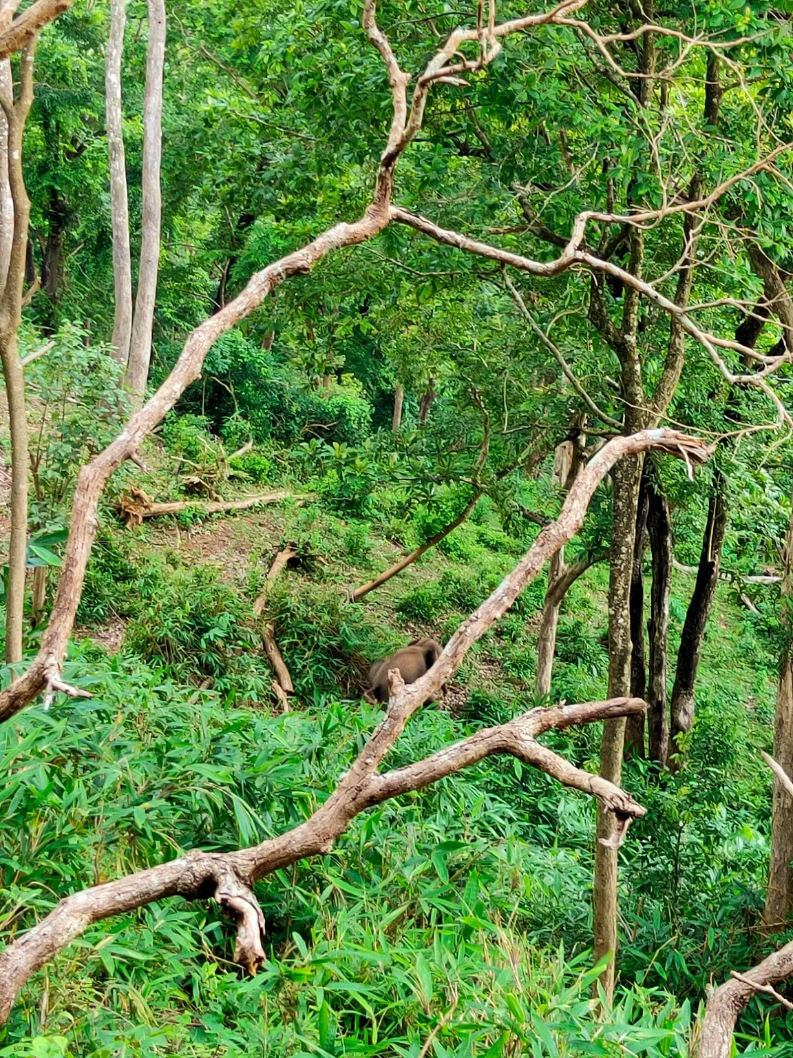 Photo of Varayadu Motta By Ashik Salam