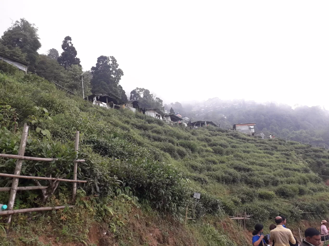 Photo of Darjeeling By Ashis Shaw