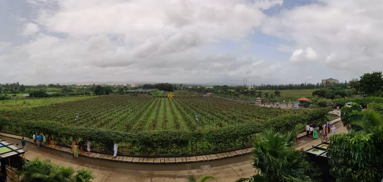 Photo of Sula Vineyards By Ashish Dwivedi