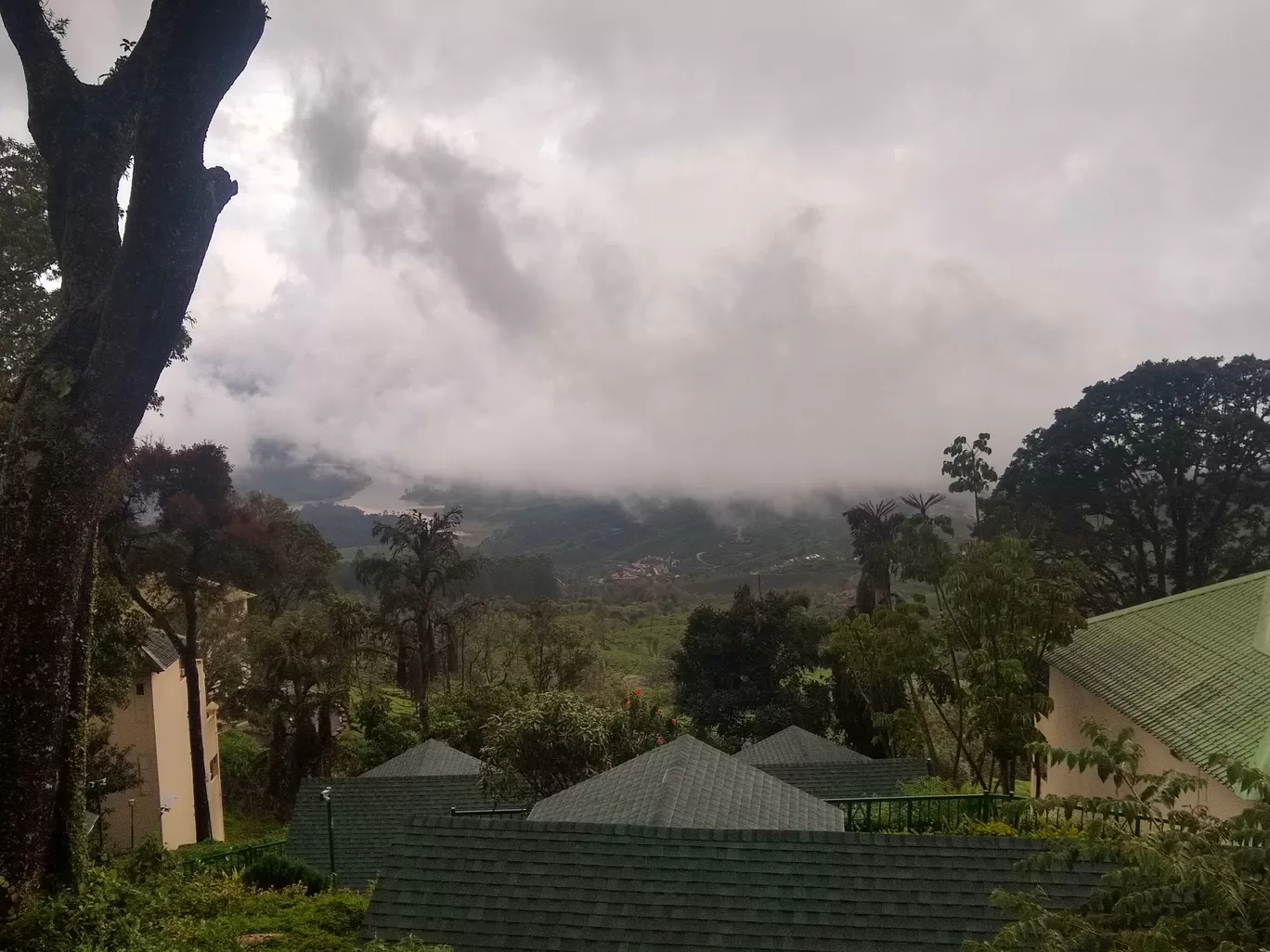 Photo of Club Mahindra Munnar By Ashish Dwivedi