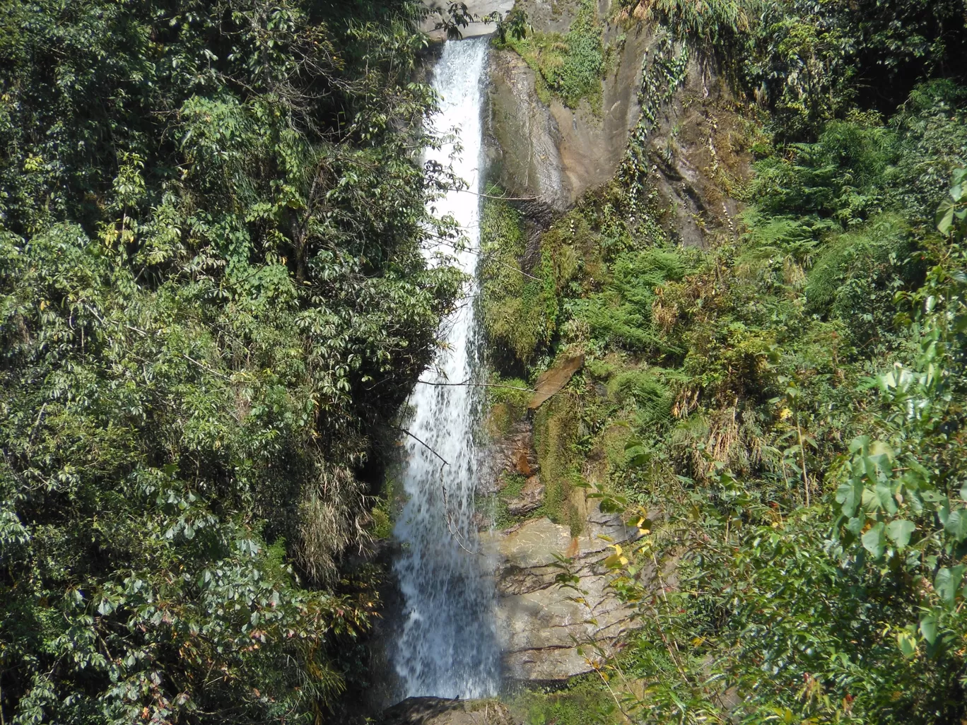 Photo of Mohispota More By Eno -Tech & Facts