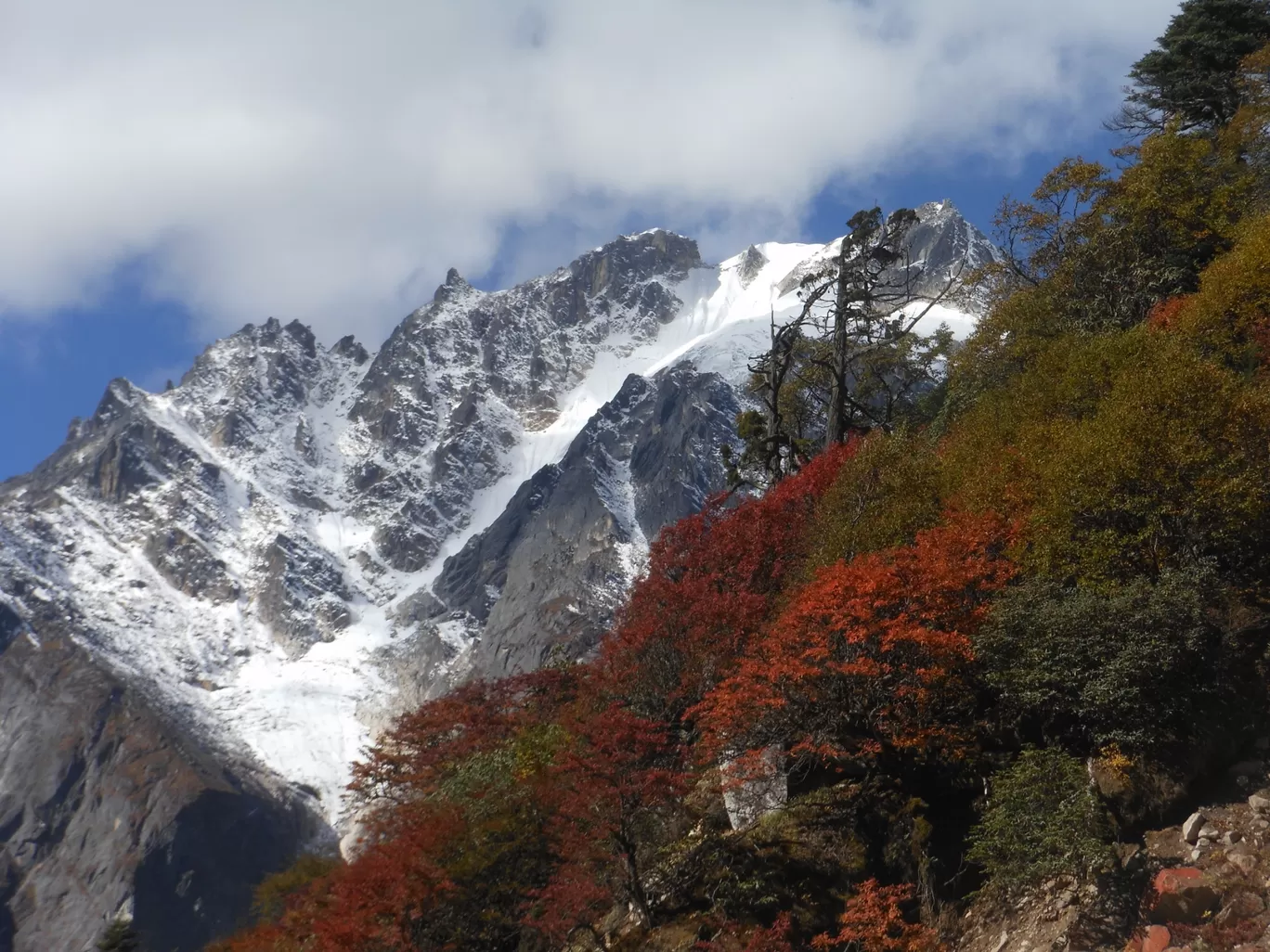 Photo of Mohispota More By Eno -Tech & Facts