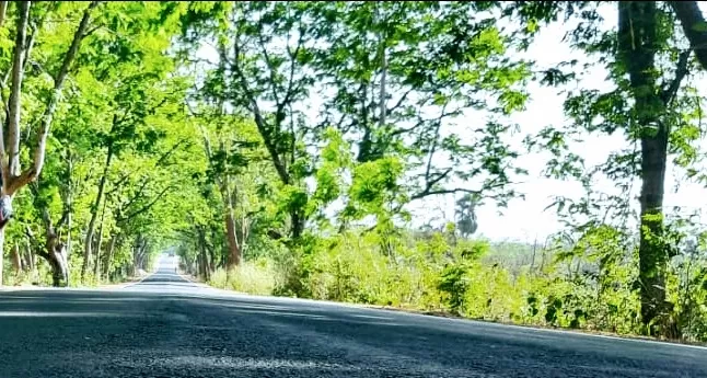 Photo of Ajodhya Hill Station By Team FoRaGeR