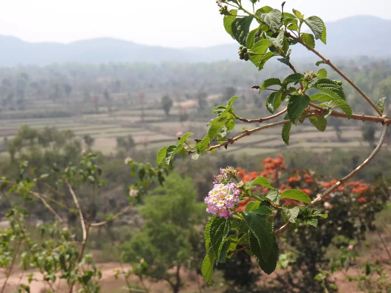 Photo of Ajodhya Hill Station By Team FoRaGeR