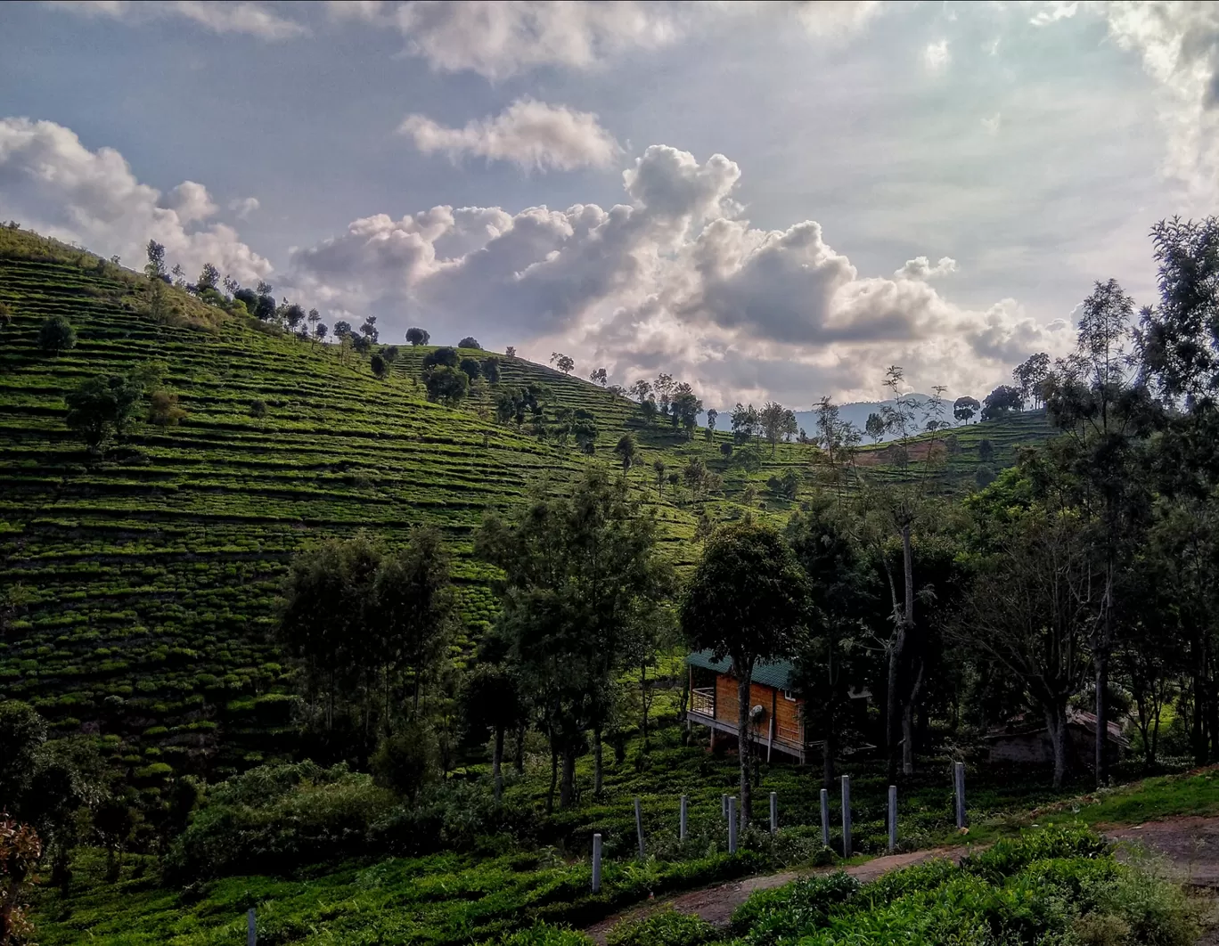 Photo of Kotagiri By Arka Roychoudhury