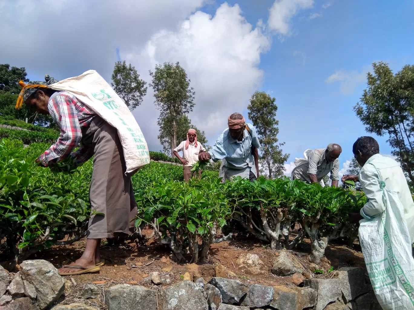 Photo of Kotagiri By Arka Roychoudhury