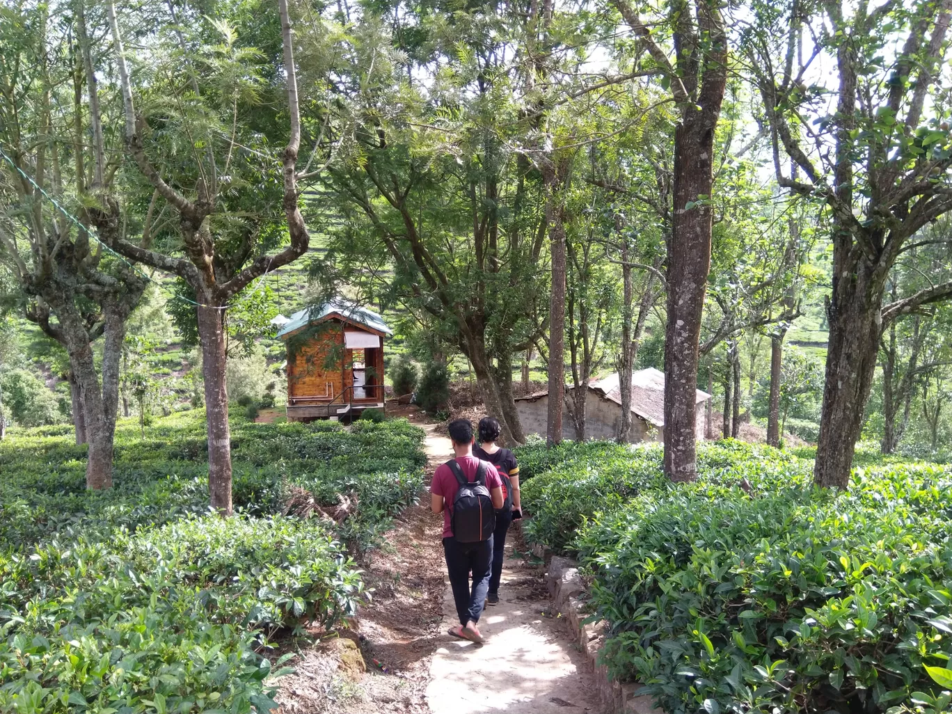 Photo of Kotagiri By Arka Roychoudhury
