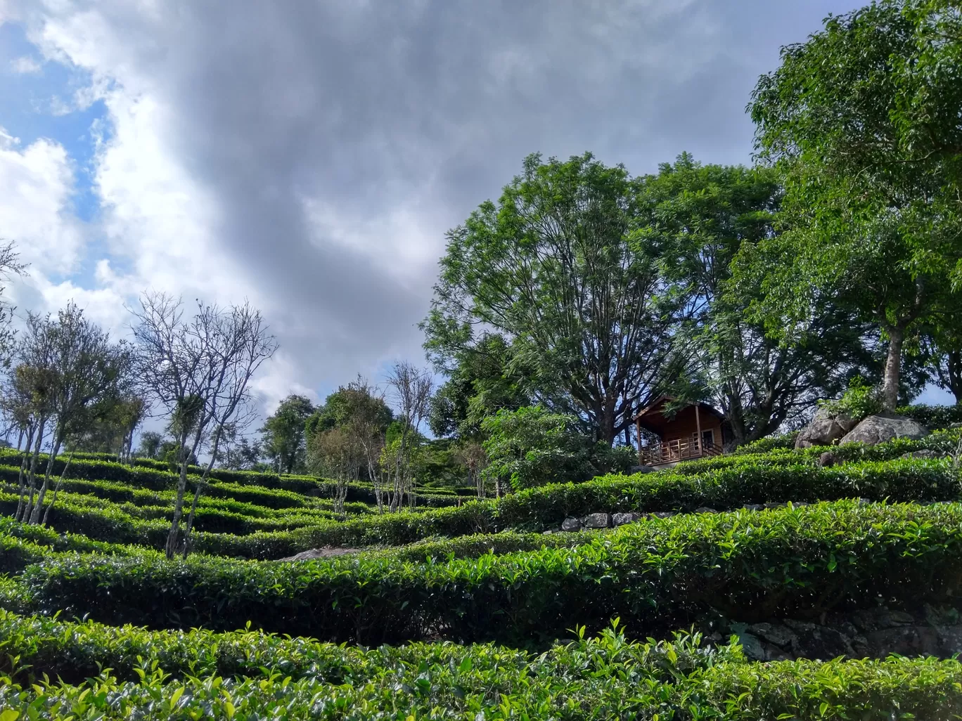 Photo of Kotagiri By Arka Roychoudhury