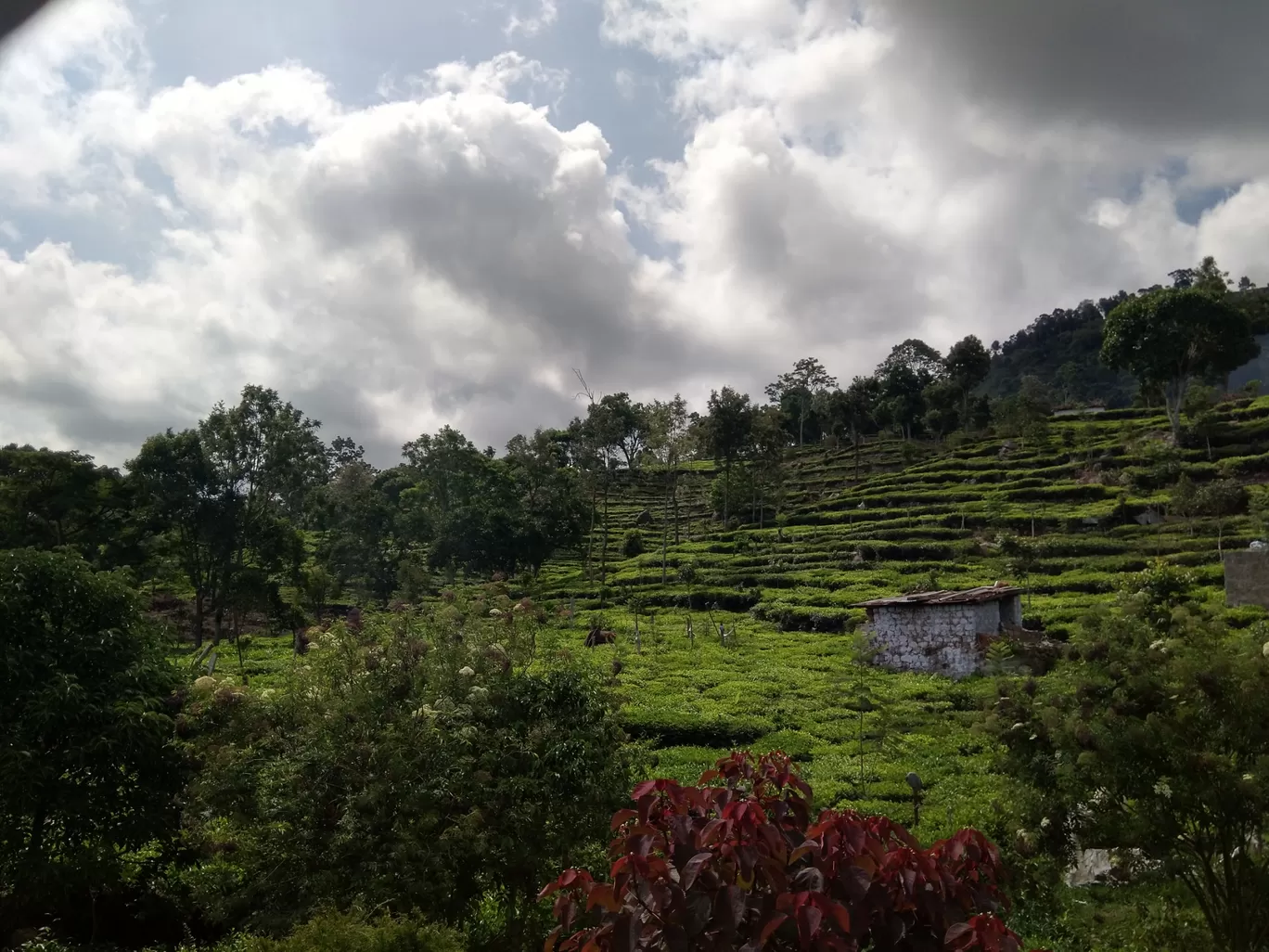 Photo of Kotagiri By Arka Roychoudhury