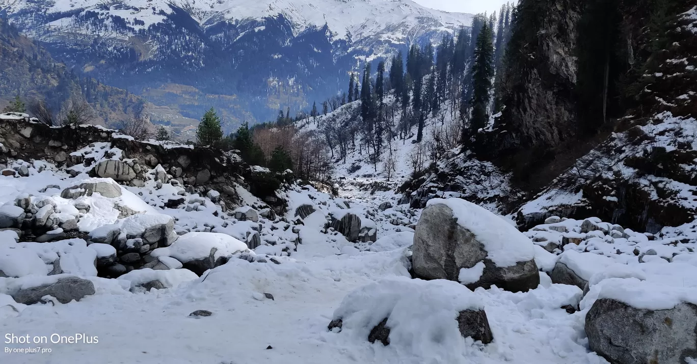Photo of Kullu By Yogesh Kumar