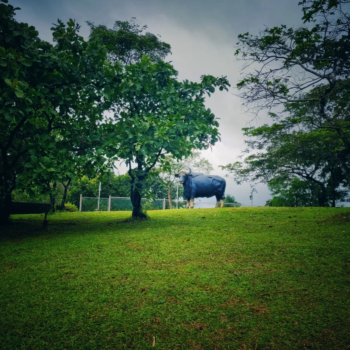 Photo of GreenBerg Holiday Resorts By Chinthu P