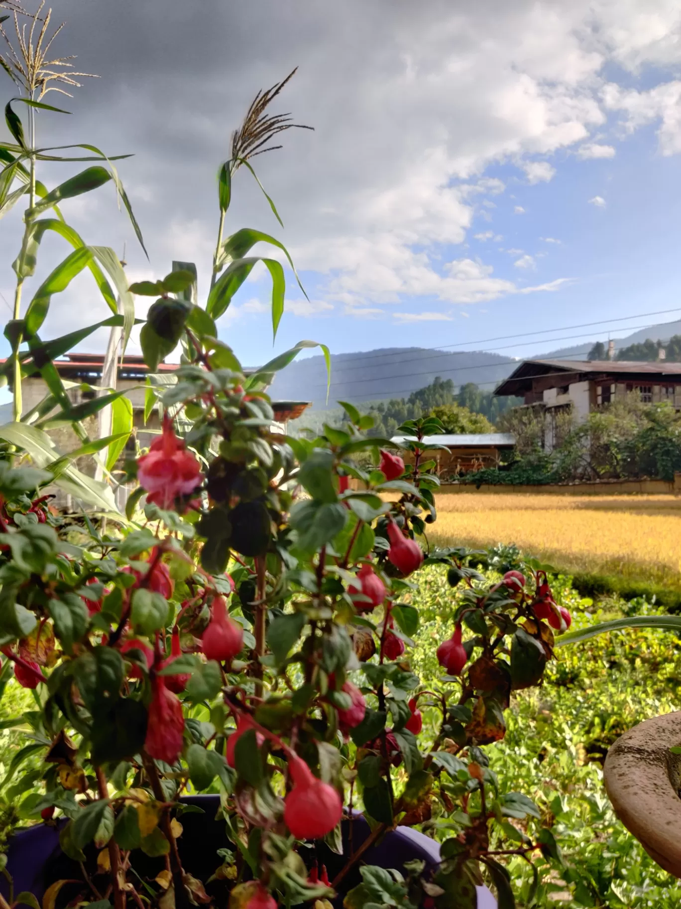 Photo of Bhutan By Flexcia