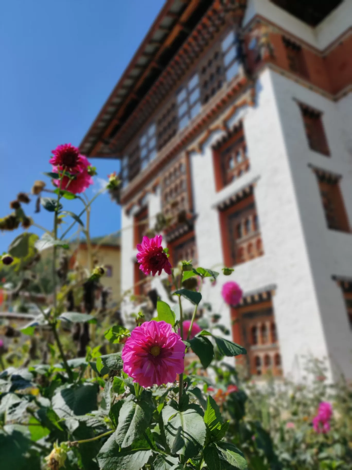 Photo of Bhutan By Flexcia
