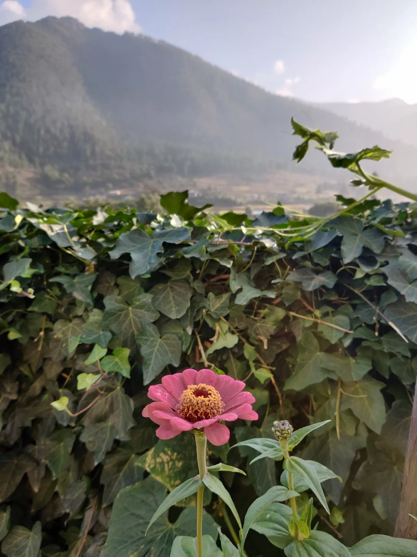 Photo of Bhutan By Flexcia