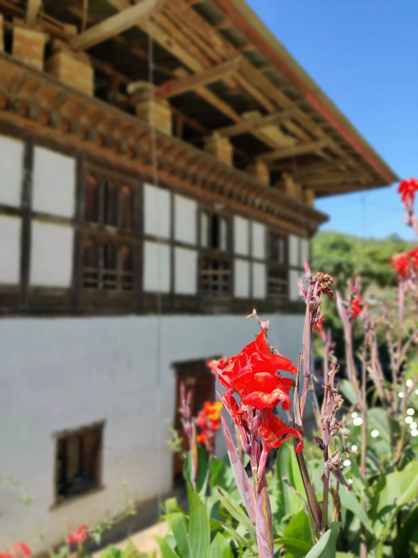Photo of Bhutan By Flexcia