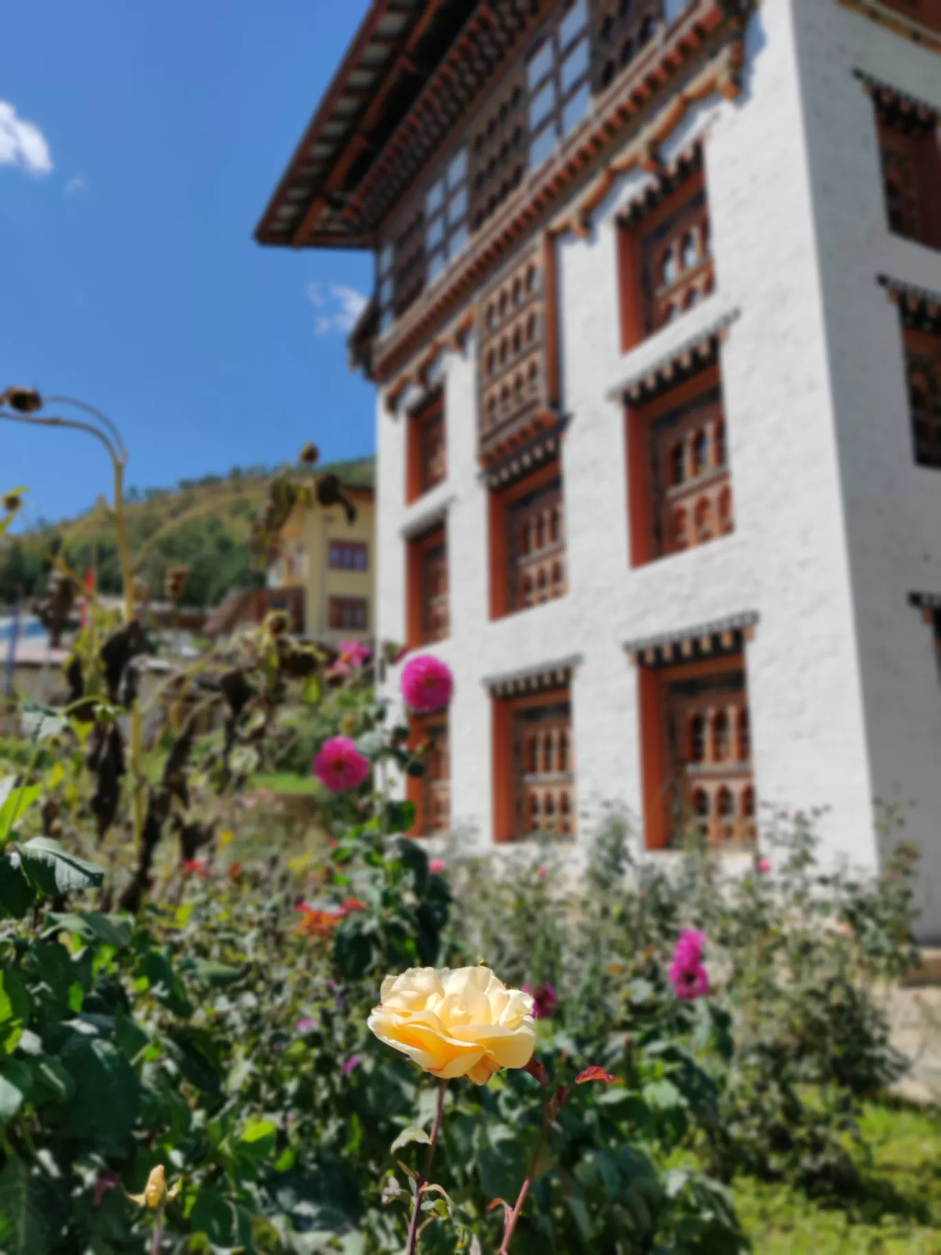 Photo of Bhutan By Flexcia
