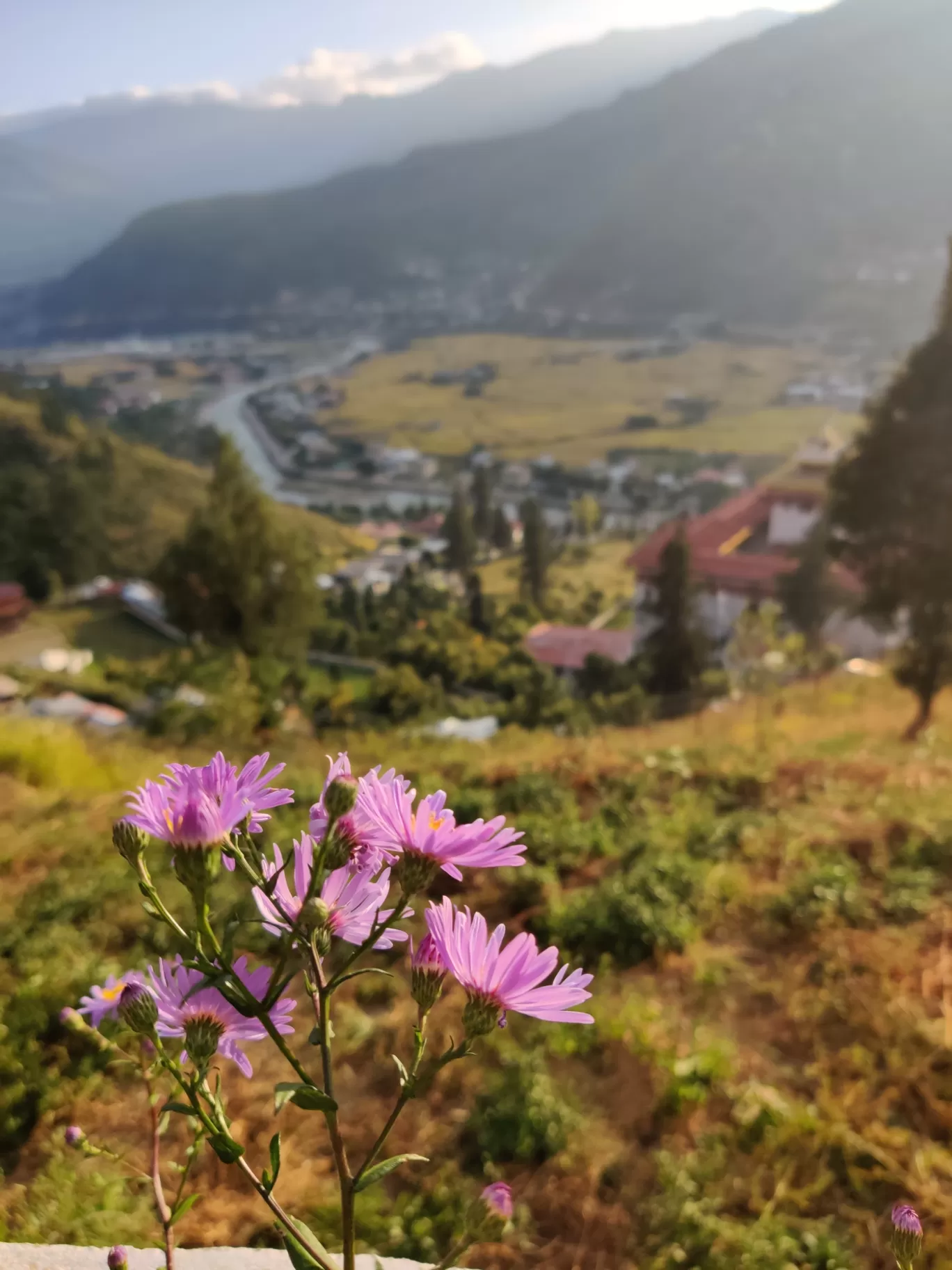 Photo of Bhutan By Flexcia
