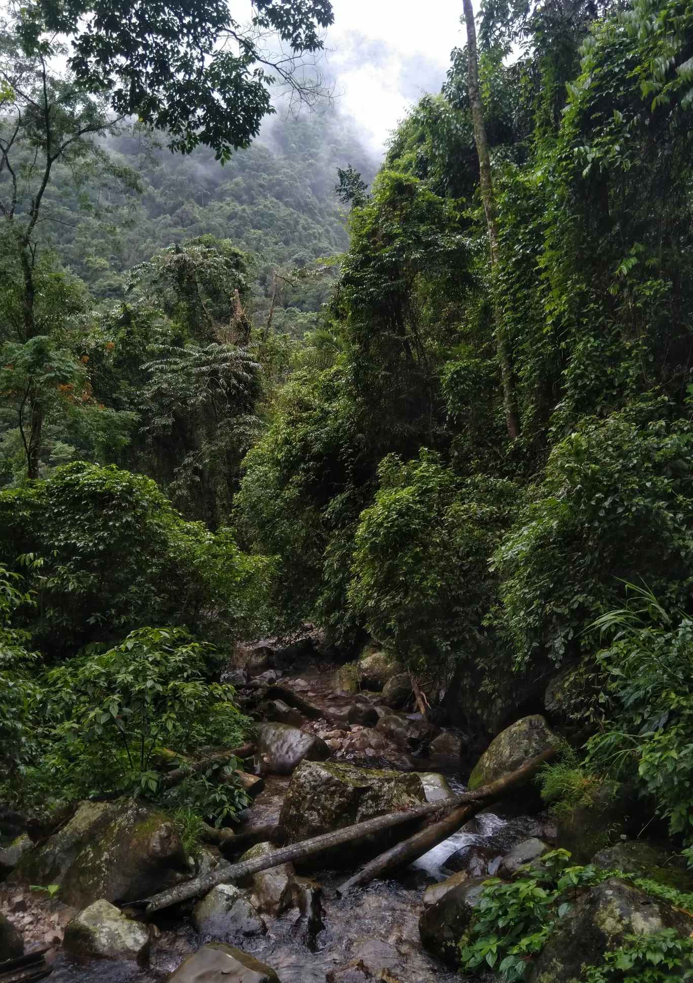 Photo of Meghalaya By Apratim Kundu