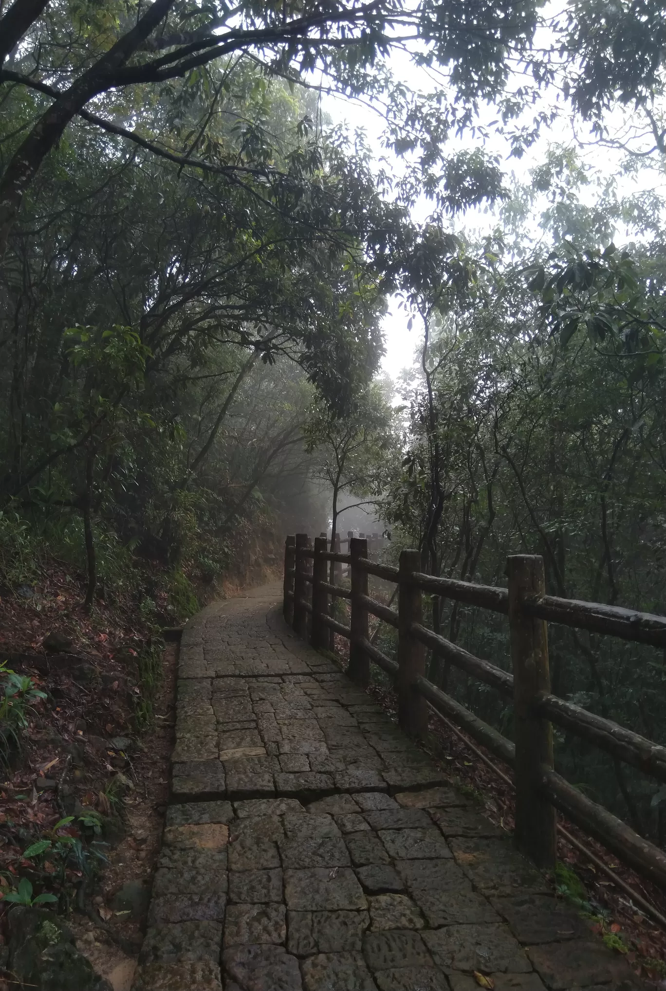 Photo of Meghalaya By Apratim Kundu