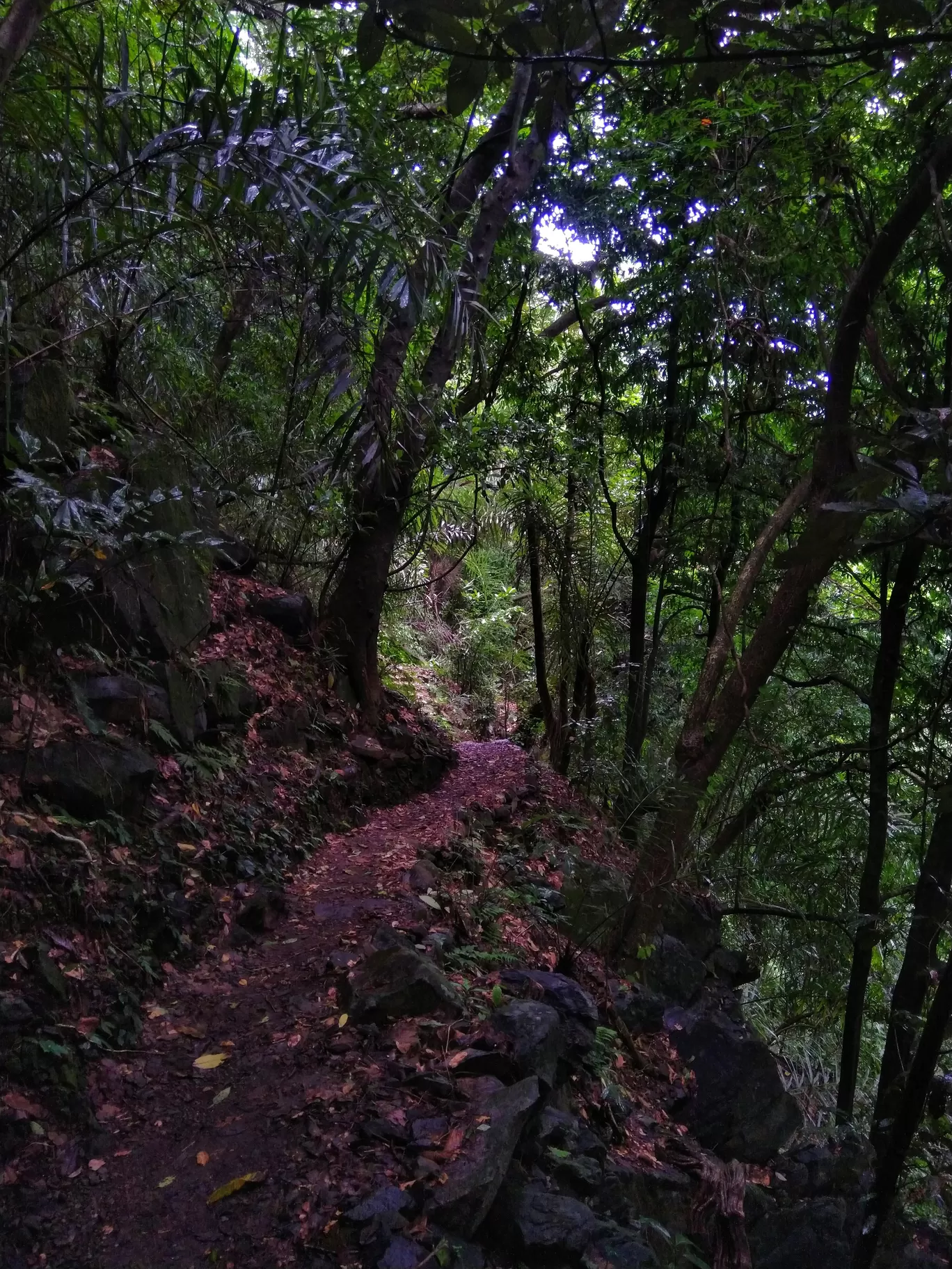 Photo of Meghalaya By Apratim Kundu