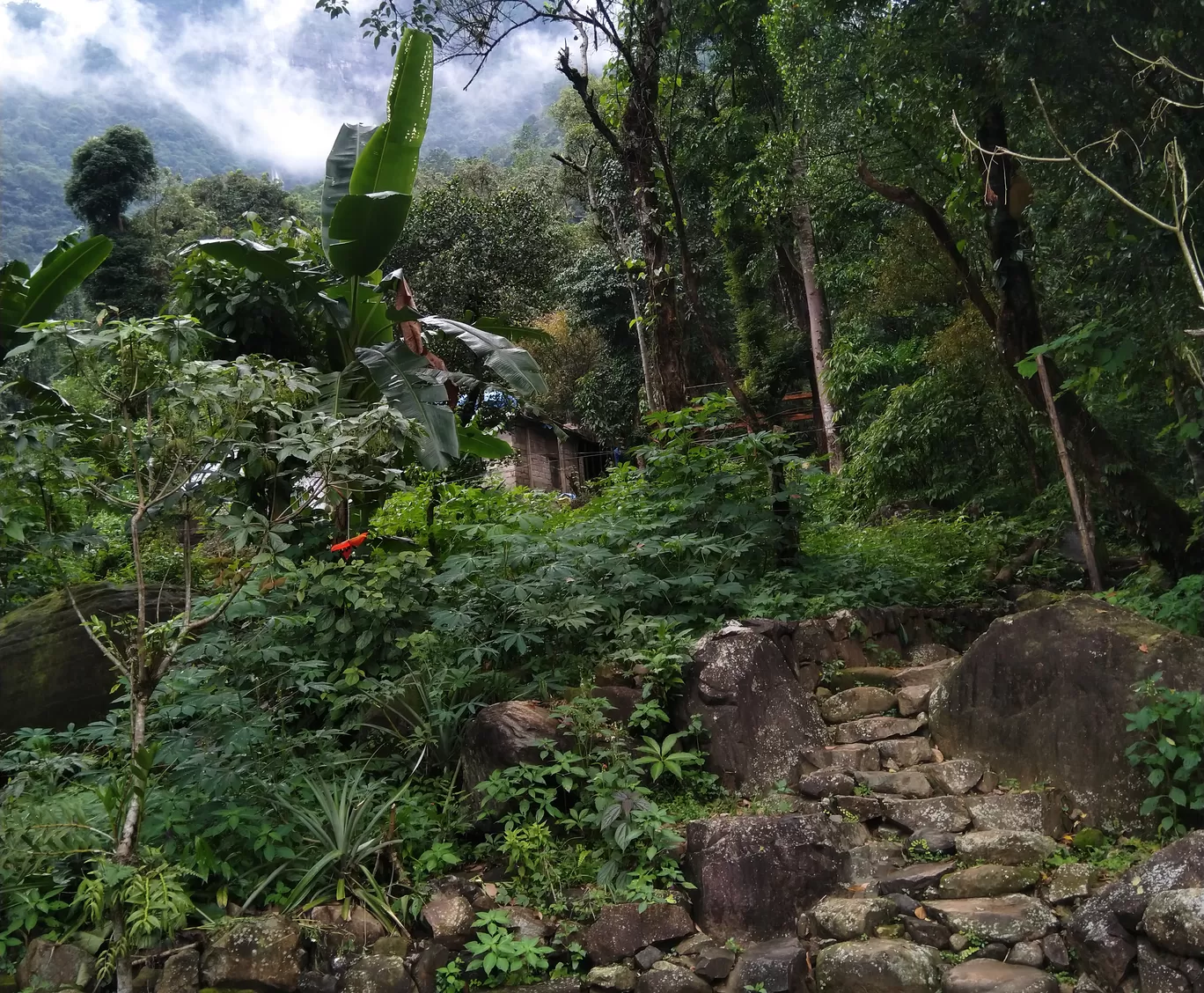Photo of Meghalaya By Apratim Kundu