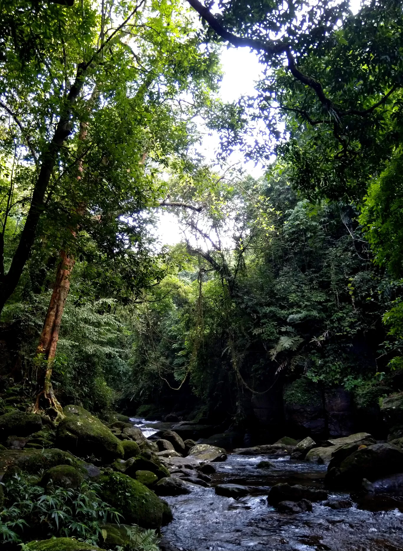 Photo of Meghalaya By Apratim Kundu