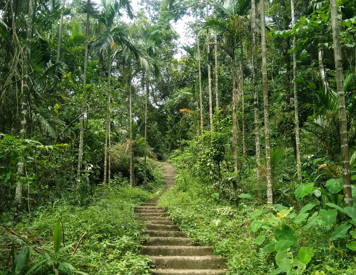 Photo of Meghalaya By Apratim Kundu