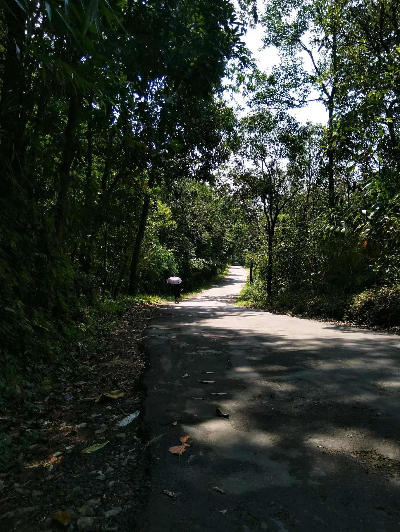 Photo of Meghalaya By Apratim Kundu