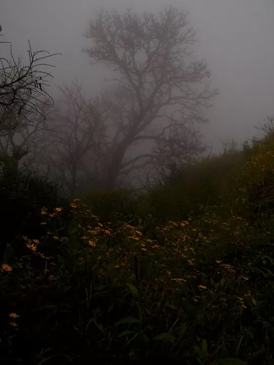 Photo of India By Apratim Kundu