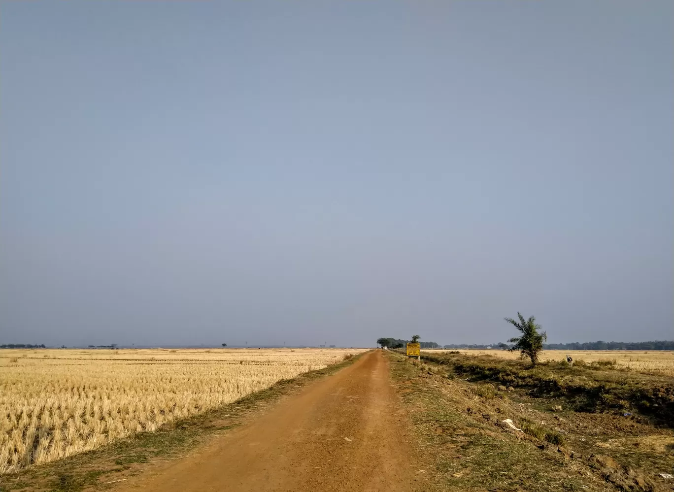 Photo of India By Apratim Kundu