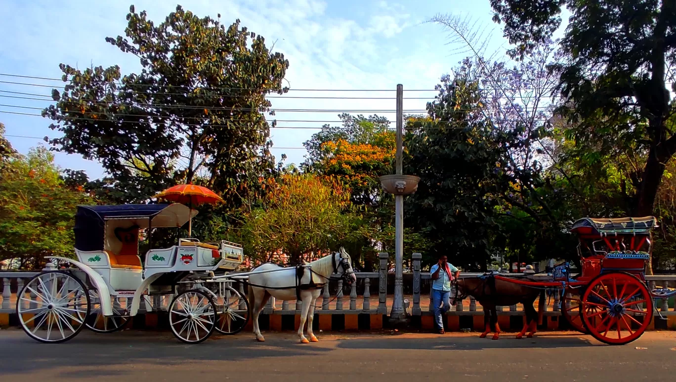 Photo of South India By Apratim Kundu