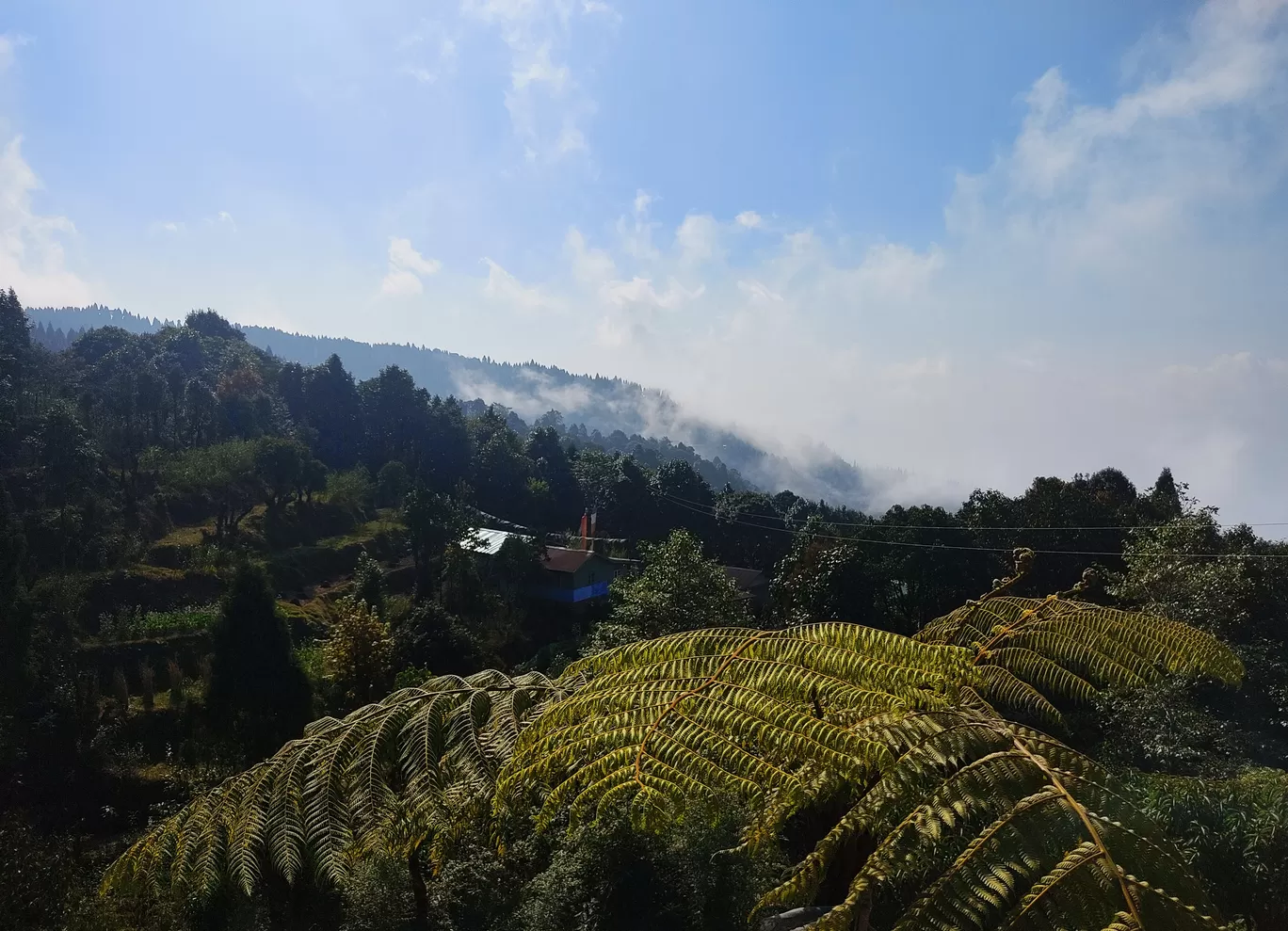 Photo of Himalayas By Apratim Kundu