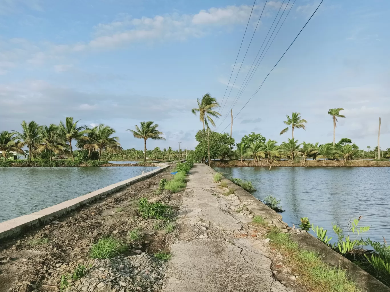 Photo of Kadamakkudy Islands View Point By Das Holidays