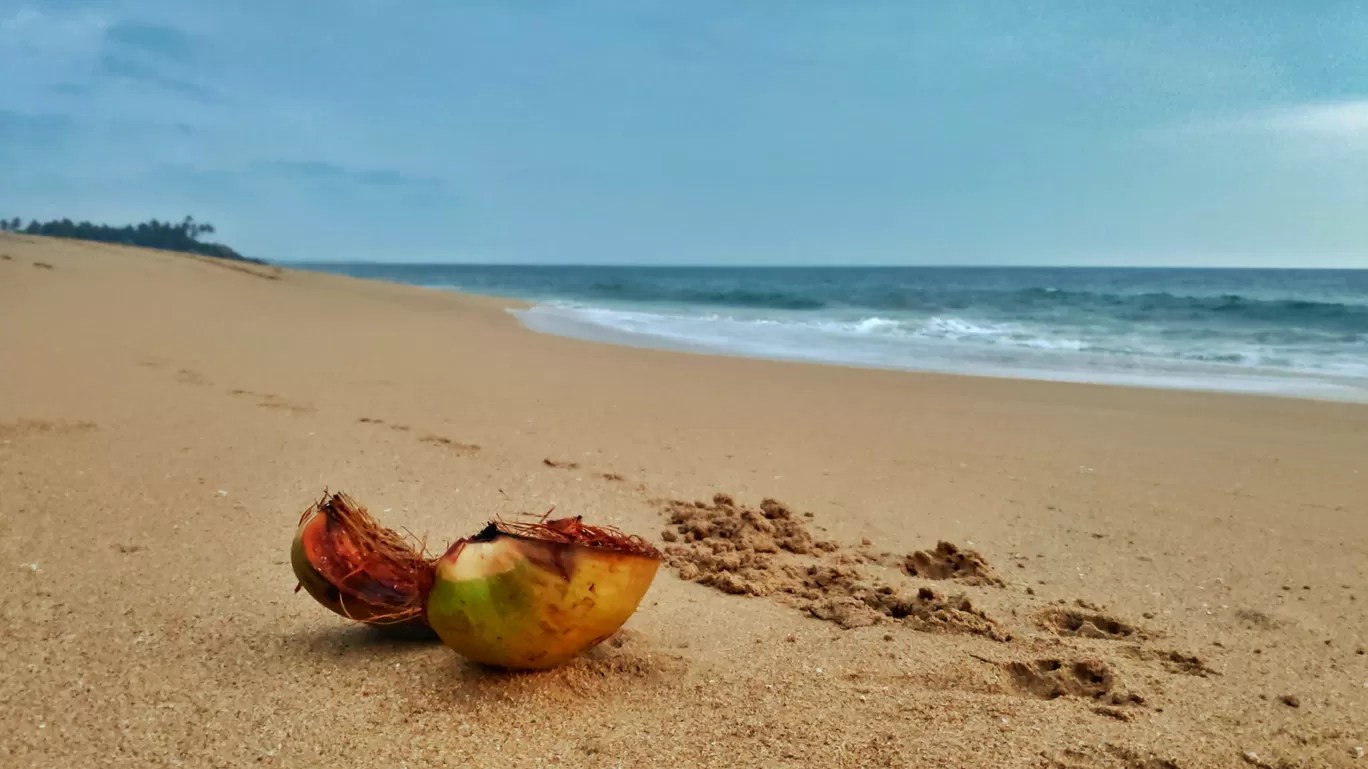 Photo of Bentota Beach By Amita Kota