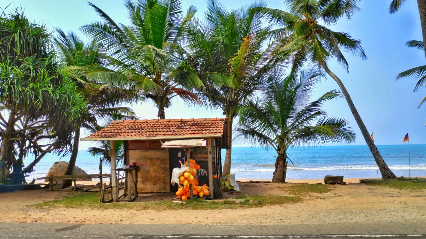 Photo of Bentota Beach By Amita Kota