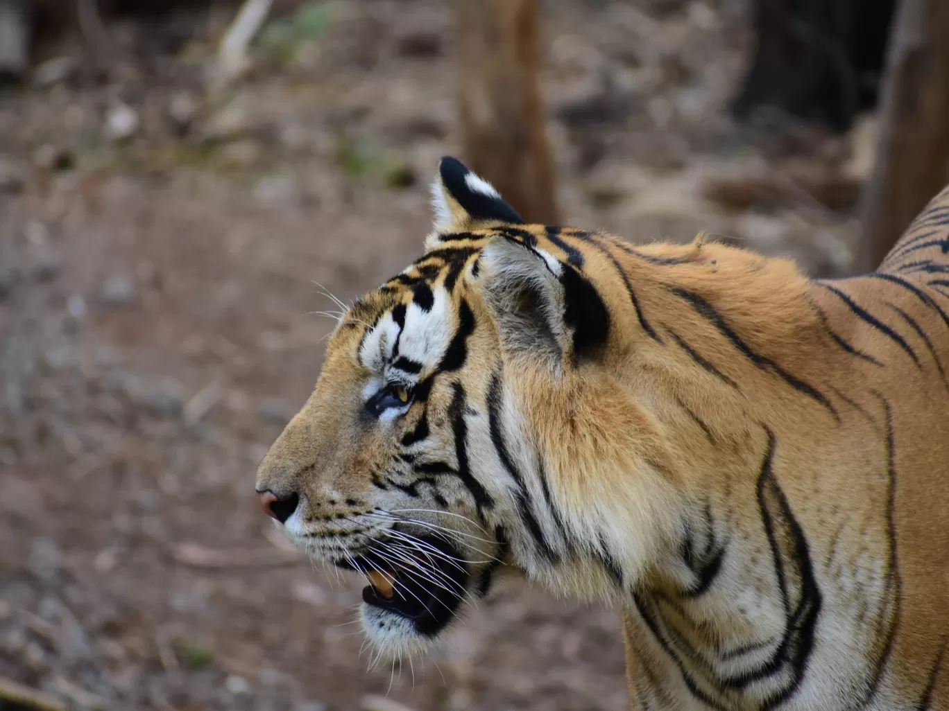 Photo of India By Yuvaraj