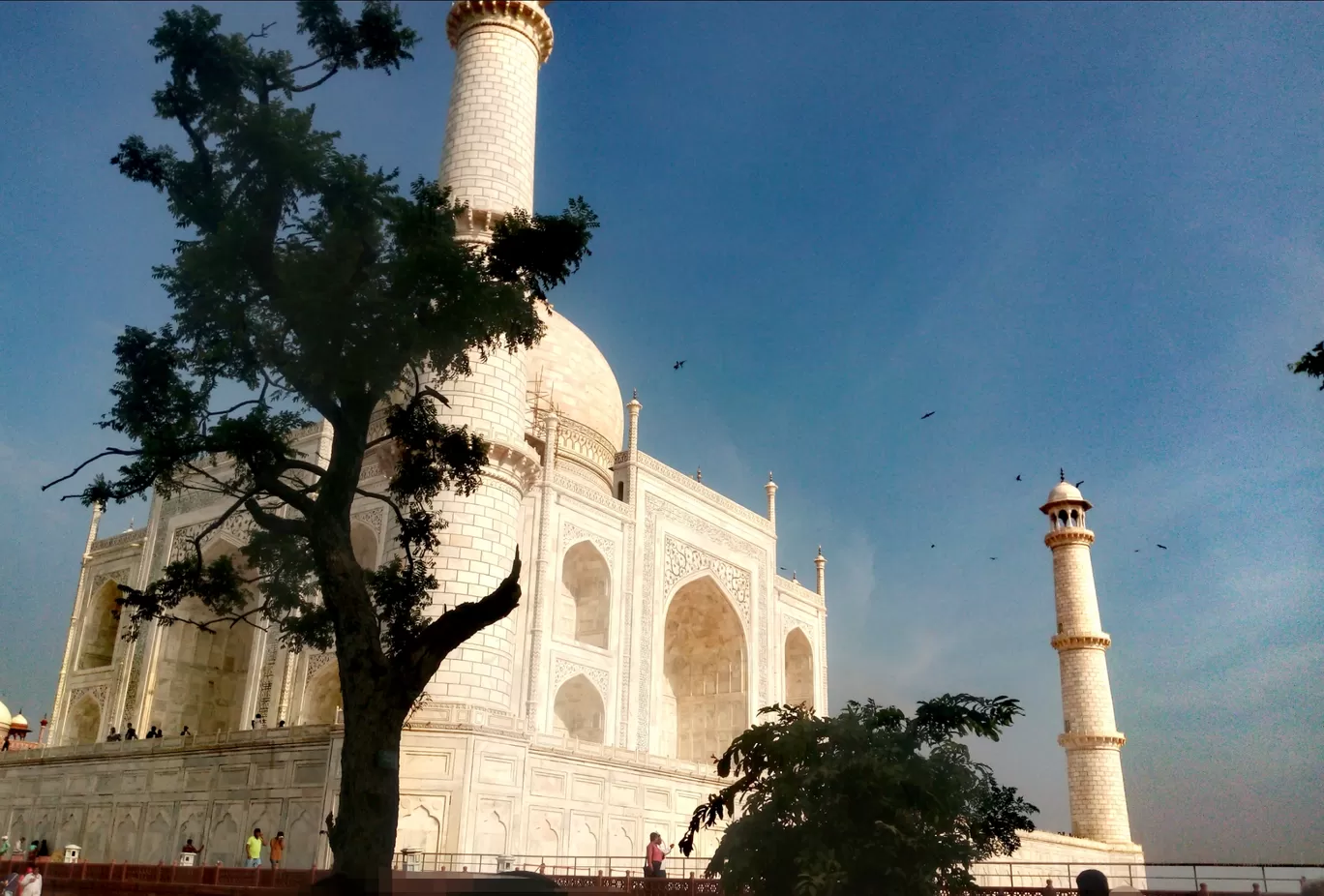 Photo of Agra By Tritisha Chowdhury 