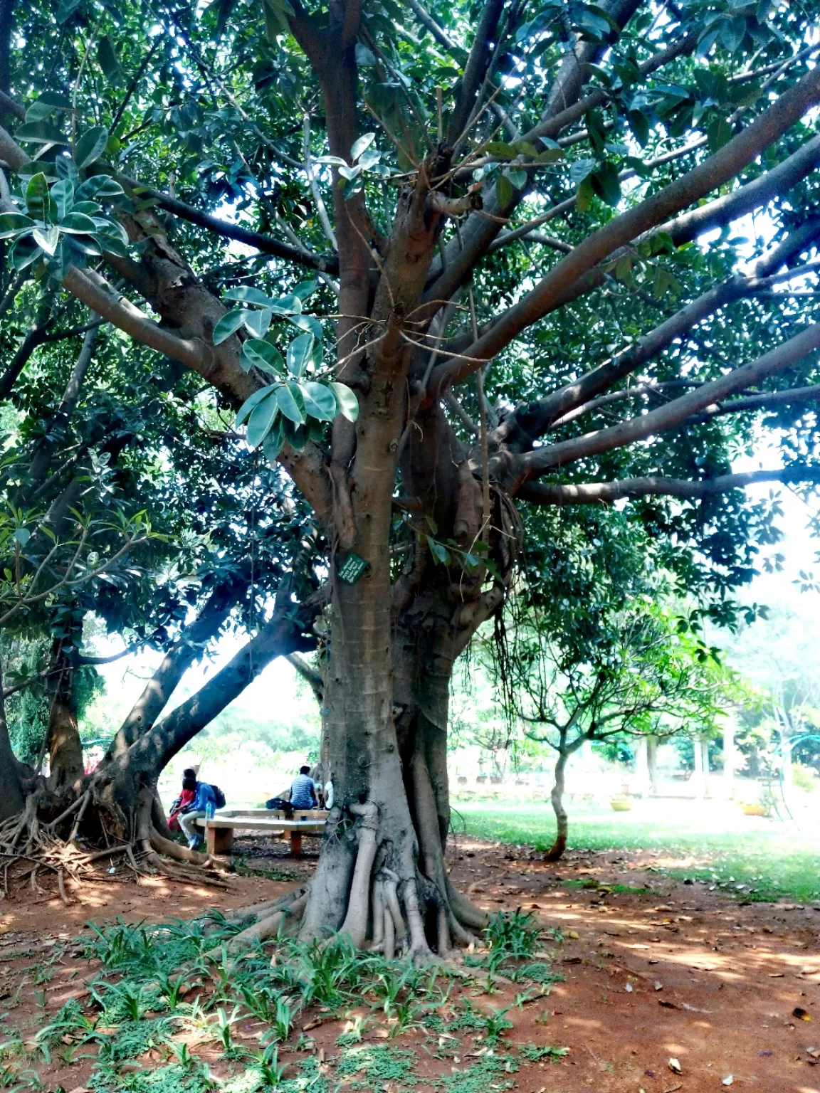 Photo of Bangalore By Tritisha Chowdhury 