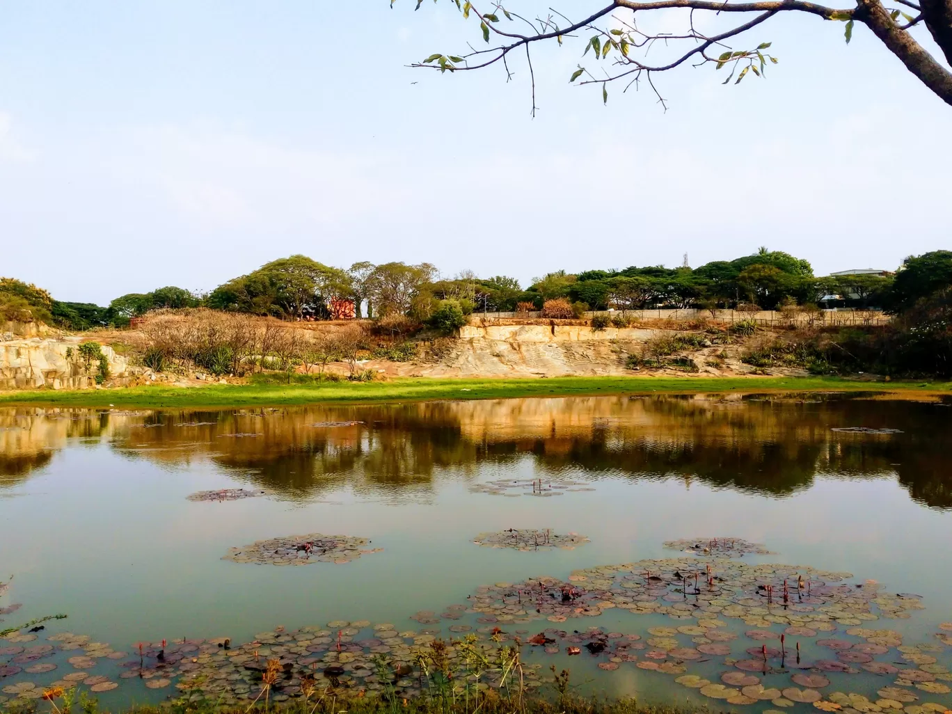 Photo of Bangalore By Tritisha Chowdhury 