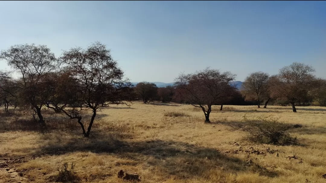 Photo of Ranthambore National Park By Antara Banerjee