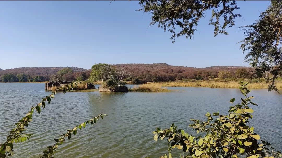 Photo of Ranthambore National Park By Antara Banerjee