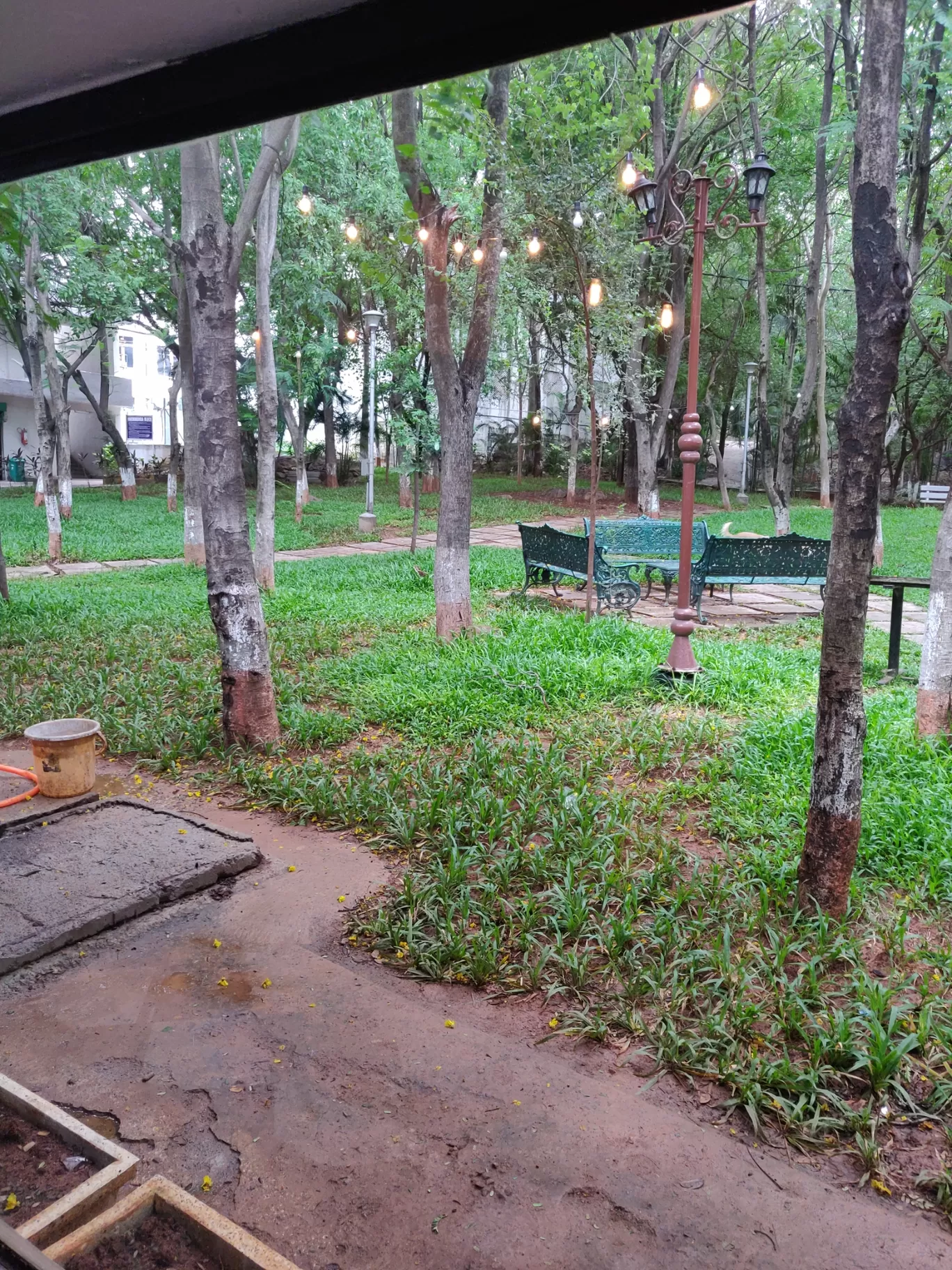 Photo of Chai Kahani By Manorika Yadav