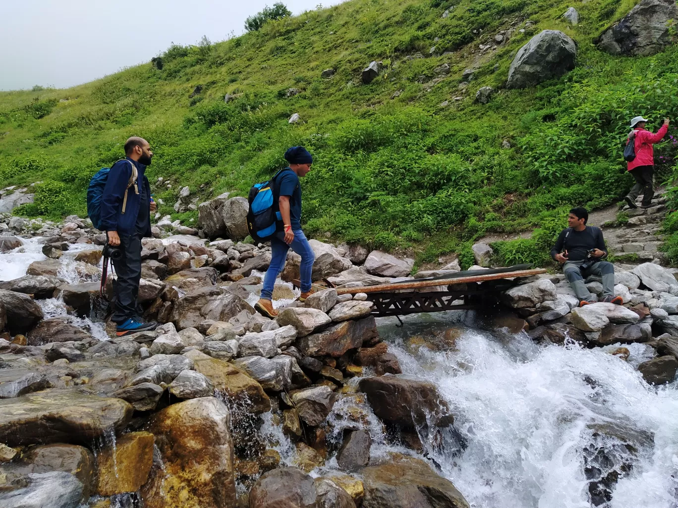 Photo of Ghangaria - Valley of Flowers Trek Route By Vikash Vardhman