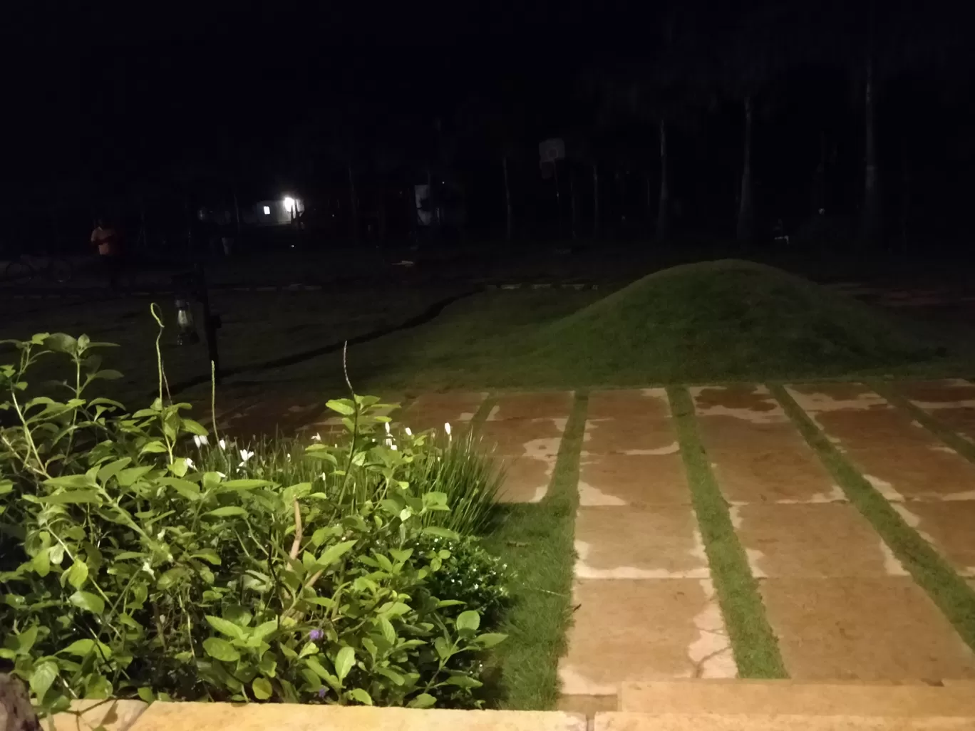 Photo of TouchWood Bliss By Vipin Sisodiya
