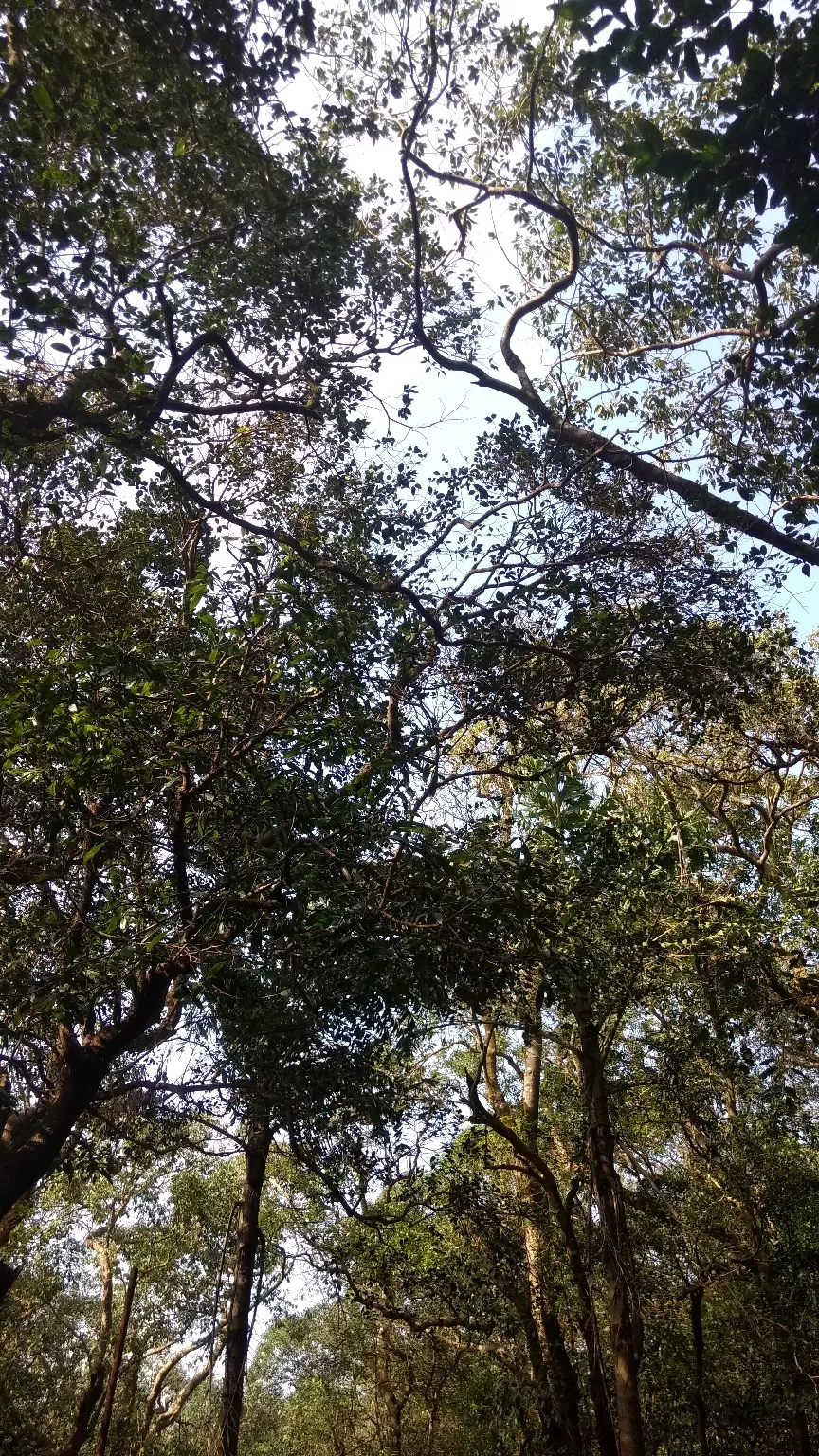 Photo of Matheran By Vipin Sisodiya