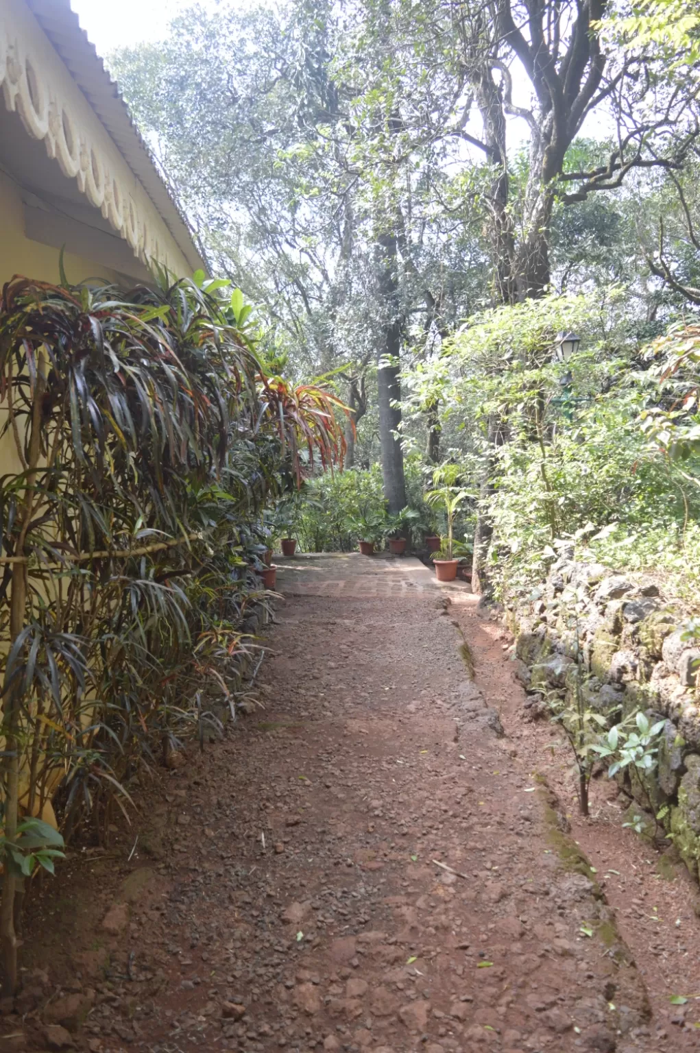 Photo of Matheran By Vipin Sisodiya