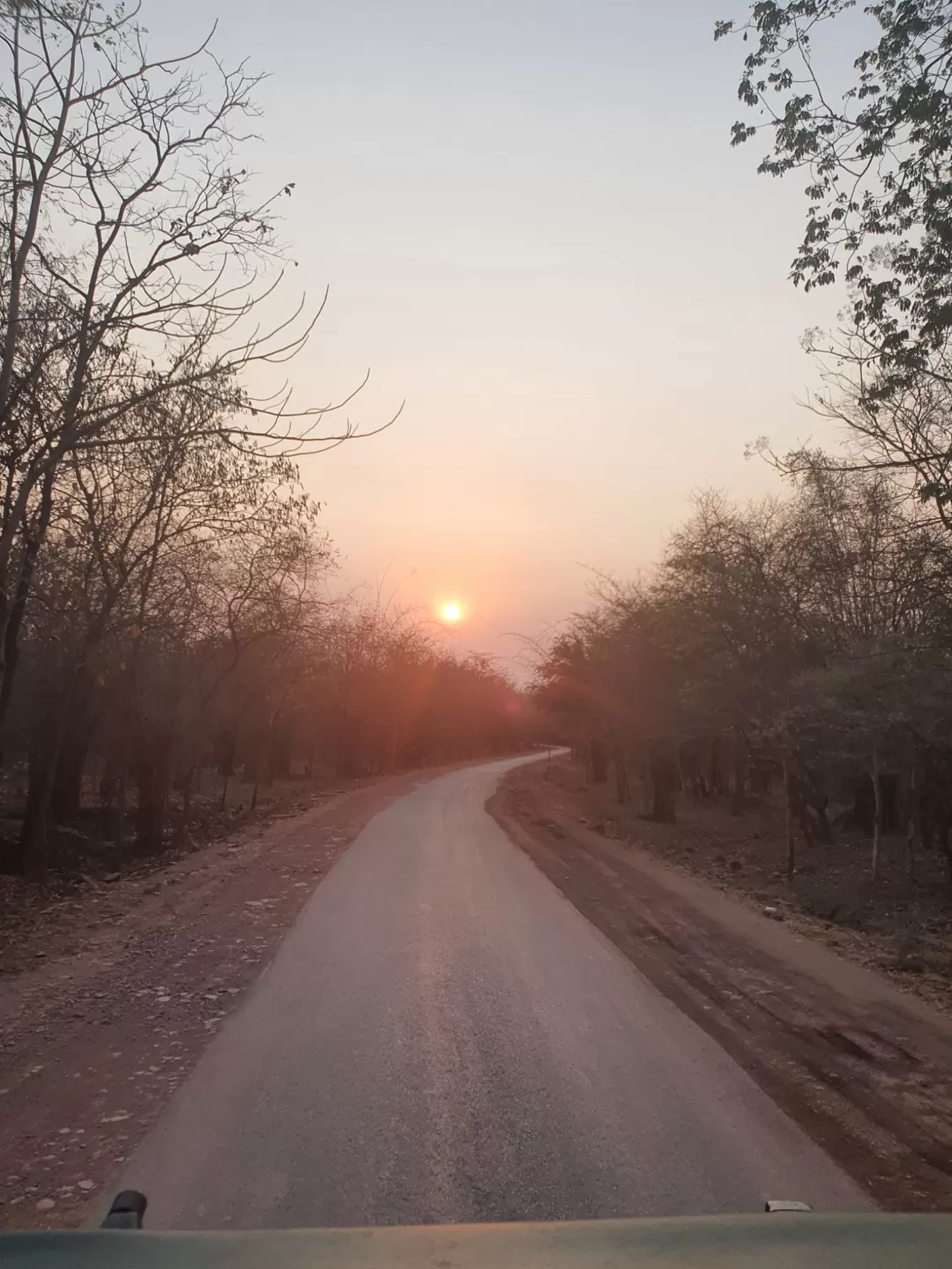 Photo of India By Nikhil Handa
