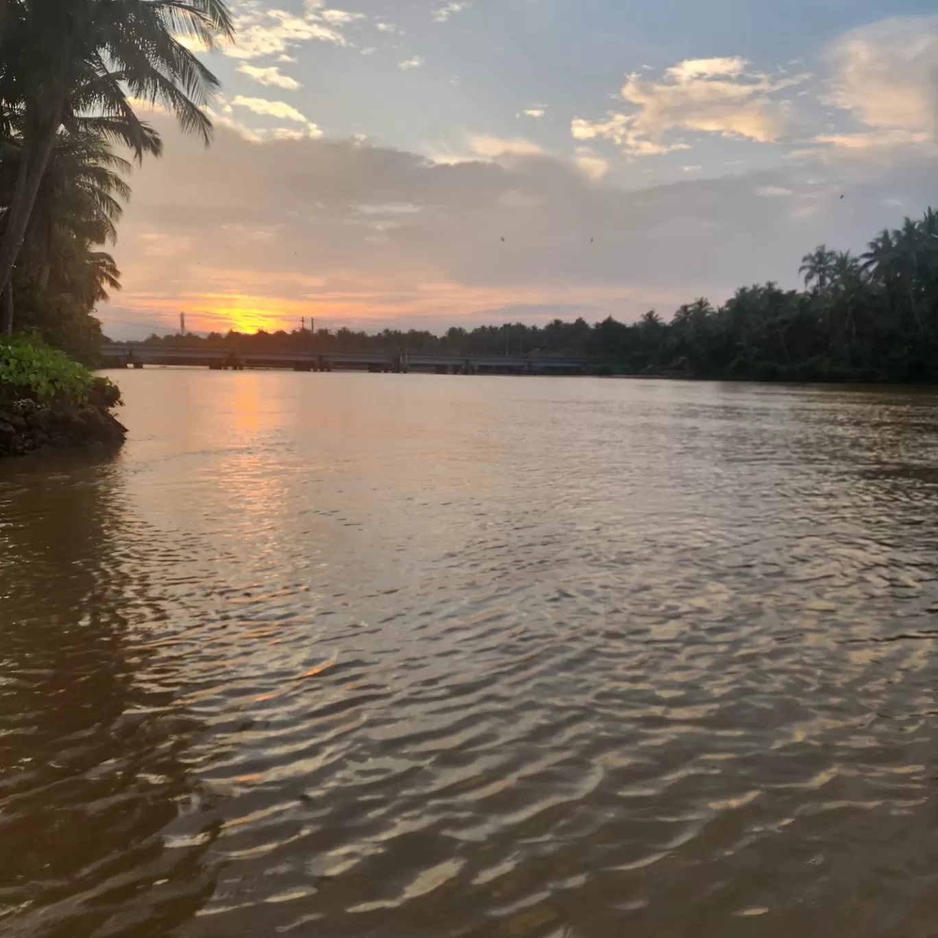 Photo of Kadalundi By Nikhil Handa