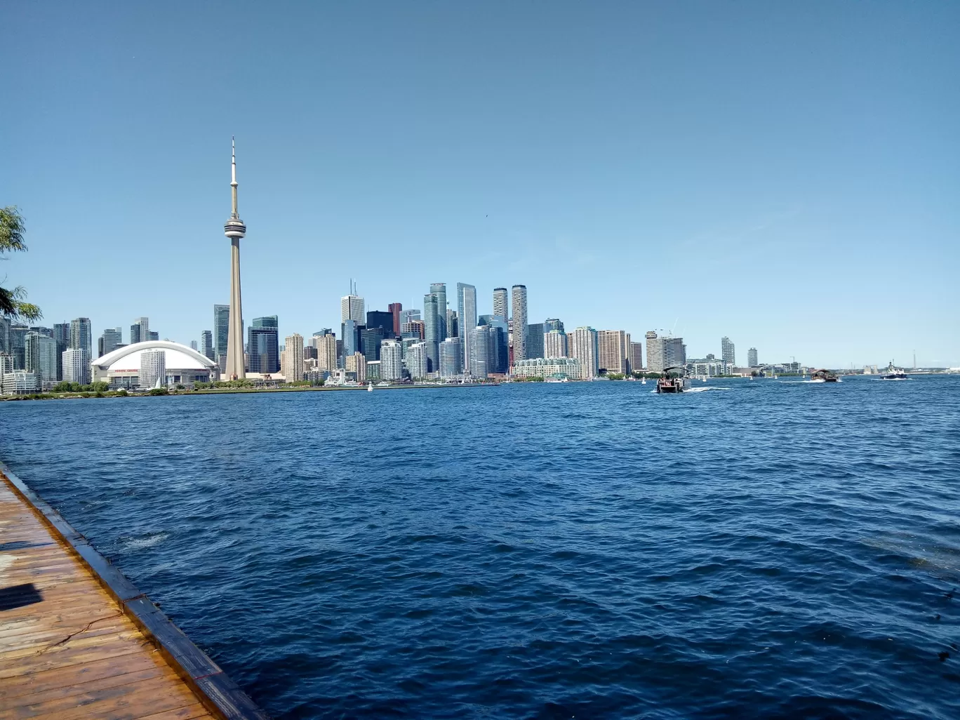 Photo of Toronto By jasmita naik